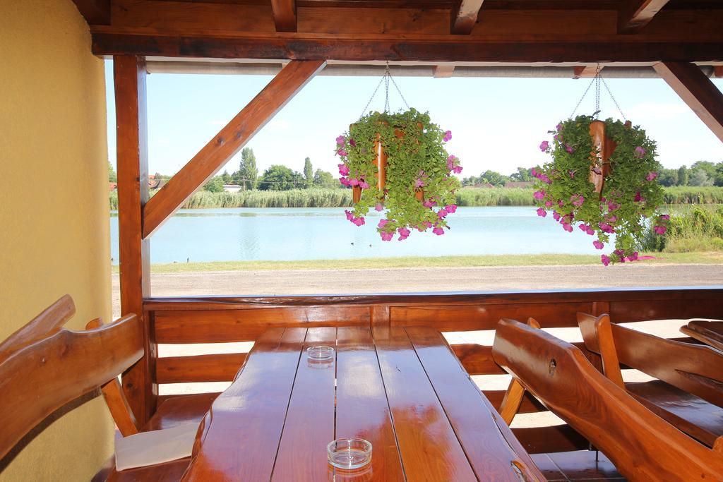 Guest House Vila Alexandar Palic Exterior photo