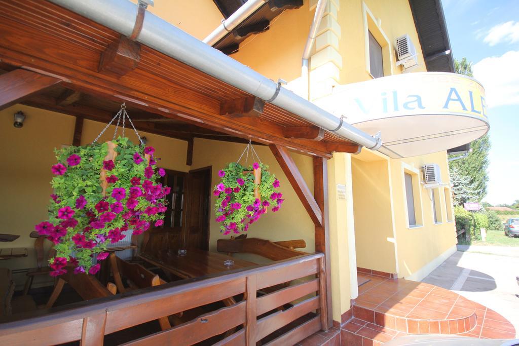 Guest House Vila Alexandar Palic Exterior photo